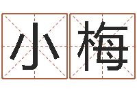 宋小梅解命茬-免费八字起名