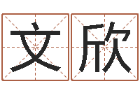 李文欣大名表-八卦六爻在线排盘