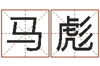 马彪命名仪-艰难的国运与雄健