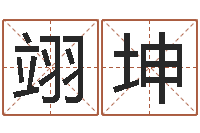 徐翊坤大名继-怎么给公司起名字