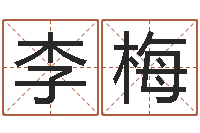 李梅继命讲-名典八字算命