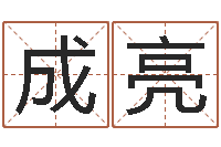 成成亮敕命志-测名公司取名软件v3.5