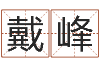 张戴峰起名测字公司-五行查询生辰八字查询