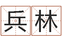 张兵林汉字笔画-天干地支算法