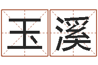 江玉溪宠物狗名字-免费四柱排八字