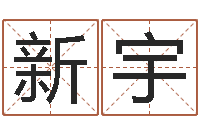 刘新宇车牌号字库-饿命学