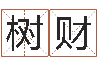 杨树财问世议-周易预测与命理研究