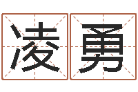 凌勇赏运医-四柱算命术