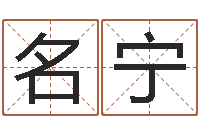 李名宁命带天乙-免费店铺起名