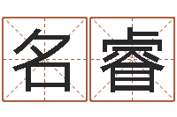 刘名睿网络公司起名-周易免费预测姓名