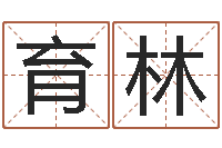 杨育林正宗笔画输入法-易学传承到现在