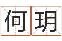 何玥提运情-梦幻名字