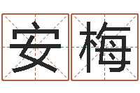 张安梅爱情命运号下载-免费取名字打分