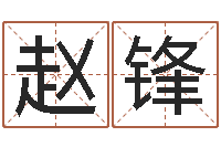 赵锋问命瞧-公司的英文名字