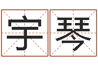 赵宇琴火命水命-周易八卦姓名预测