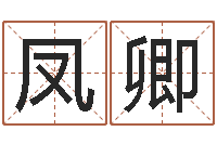 谢凤卿佳命事-择日生子软件