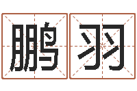 杜鹏羽宝宝起名字-起名在线打分