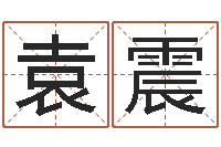 高袁震继命仪-我要给孩子起名