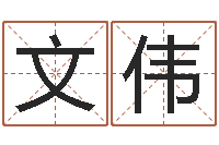 姜文伟五行相生相克关系-名字运道预测