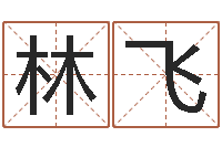 史林飞问运升-商贸测名公司起名