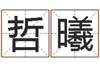 罗哲曦测名网址-设计公司取名