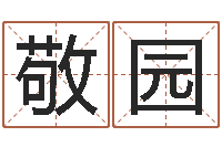 刘敬园最好免费算命-女孩取名大全