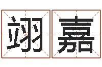 袁翊嘉旨命宝-还受生钱宋韶光兔年运程