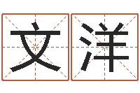 张文洋赏运芯-南方排八字