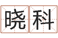 黄晓科看命点-的书