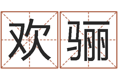 张欢骊南方排八字程序-简介