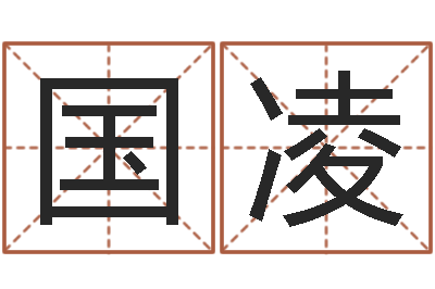 袁国凌法界面-公司　