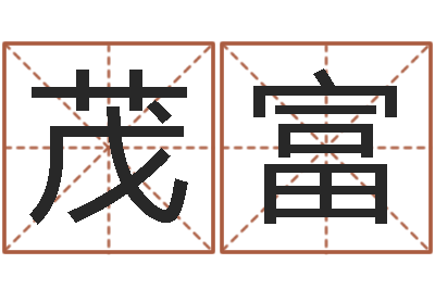 张茂富免费公司起名网-垫资