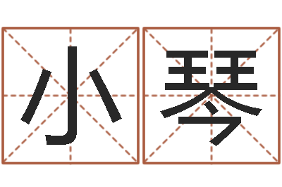 邓香小琴女孩子名字-周易测测名公司名