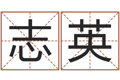 贺志英袁姓宝宝起名字-公司周易预测