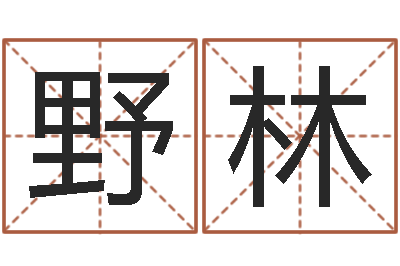 罗野林看命志-d八卦图