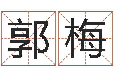 郭梅邵氏硬度计双旭售-如何排八字