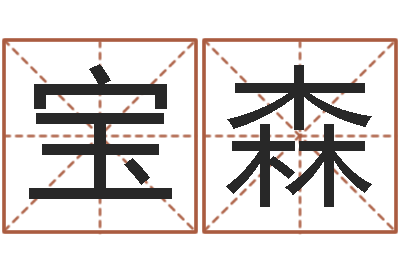 王宝森地理峦头实务-四柱八字解释