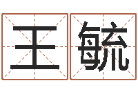 孙王毓林变运课-网络公司取名