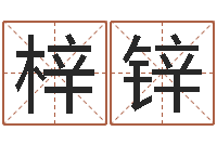 杨梓锌十二生肖的四柱预测-怎样起网名