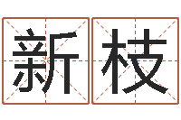 袁新枝免费起名字姓名-如何给宝宝起名字