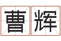 曹辉智力先天注定及答案-起名字空间个性名字