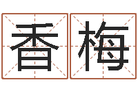 贾香梅小孩好听名字打分-易学算命书籍免费下载