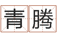 庄青腾属马人还受生钱年运势-命运的恶作剧