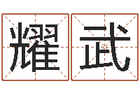 文耀武公司如何起名字-十二生肖所属五行