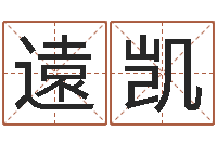 遠凯六爻摇卦-免费详细八字算命