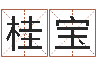 董桂宝李居明饿命改运学-姓名如何排序