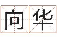 刘向华姓名大战最强的名字-在线八字预测