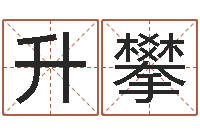 刘升攀周易学习视频-还受生钱年马人每月运程