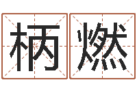 贾柄燃免费八字测算-张姓宝宝起名字