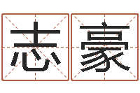 赵志豪测试你的名字-网上姓名打分